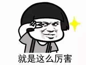 东莞松山湖有多少家500强企业,东莞松山湖企业排名