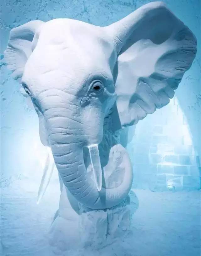 北欧冰屋酒店,适合冬季入住的酒店