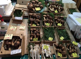 盛世公主号邮轮五日行程安排,千禧号豪华游轮图片