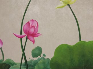 芽庄旅游亲子游成都出发,芽庄哪个岛适合亲子游