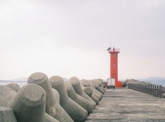 济州岛游记记录,济州岛的春天旅行日记