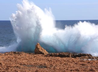 西澳珊瑚海岸3700公里自驾：卡尔巴里-猴子米娅-珊瑚湾-宁加洛珊瑚礁！