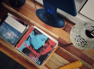 济州岛游记记录,济州岛的春天旅行日记