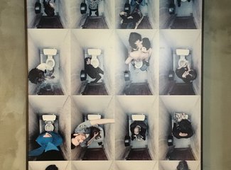 济州岛游记记录,济州岛的春天旅行日记