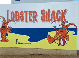 西澳珊瑚海岸3700公里自驾：卡尔巴里-猴子米娅-珊瑚湾-宁加洛珊瑚礁！