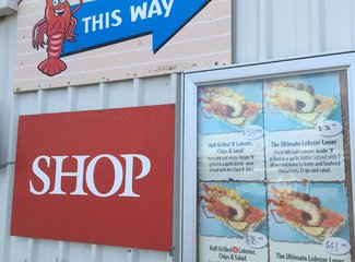 西澳珊瑚海岸3700公里自驾：卡尔巴里-猴子米娅-珊瑚湾-宁加洛珊瑚礁！