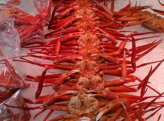 乘邮轮旅游的10大优点,乘邮轮旅行