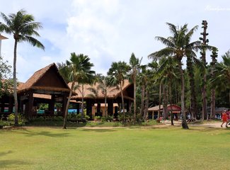 离天堂最近的地方张杰,离天堂最近的地方歌曲