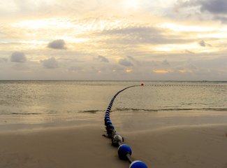 离天堂最近的地方张杰,离天堂最近的地方歌曲