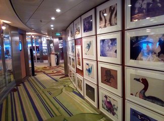 精致邮轮攻略,精致邮轮视频