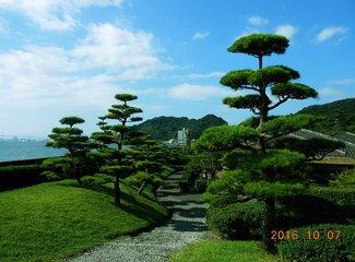 精致邮轮攻略,精致邮轮视频