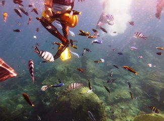 热浪岛当地旅游团,热浪岛浪中岛双岛游