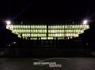 逛不尽的东瀛－二刷日本十五天