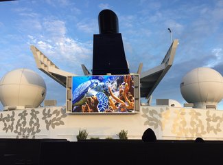 意外的旅程电视剧,意外的旅程原文