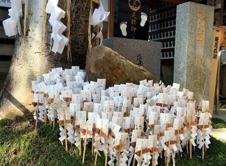 逛不尽的东瀛－二刷日本十五天