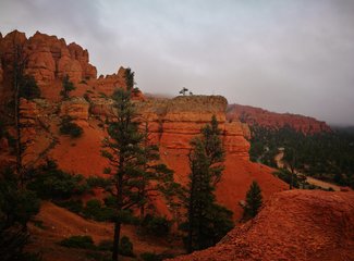 十一20日美西纵横驰骋4200m（黄石-LV-优胜美地-SF-一号公路-SD-LA