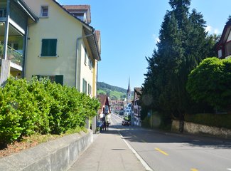 鲜花在脚下，雪山在前方——小淘淘2016年暑假瑞士徒步记