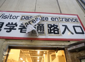 带着24个月小囡十一寸又峡寻密+东京+镰仓伊豆+横渡骏河湾观富士山+附详细交通攻略
