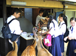 东京京都奈良大阪,东京大阪京都奈良路线