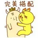 山东大姐家政服务,山东家政公司前十名