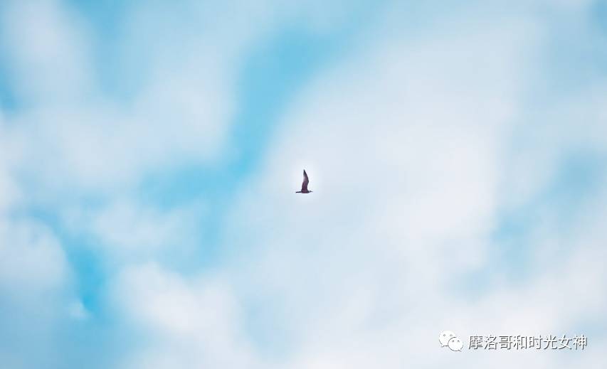 涓浗娓稿涓嶆兂鍘诲鍥界帺,鎽╂礇鍝ュ崥鐗╅