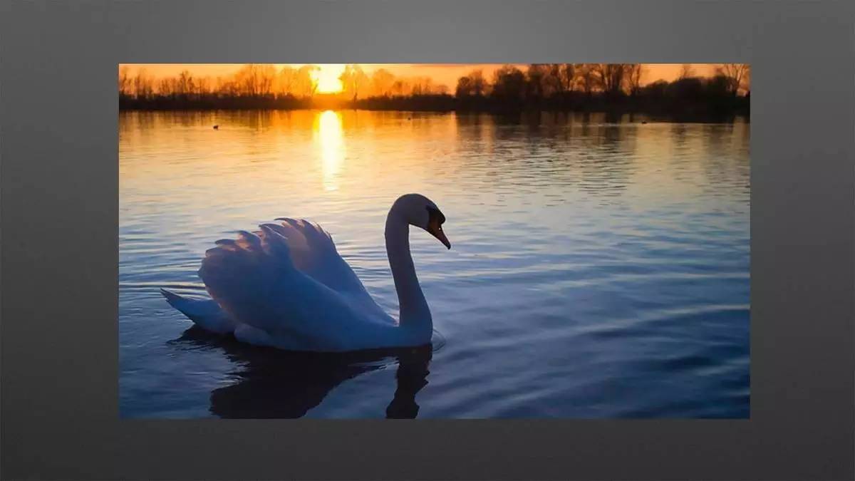 设计师必须改变思维方式，才能获得新的认知｜来自一位室内设计行业连续创新者的分享「设易学院干货064期」