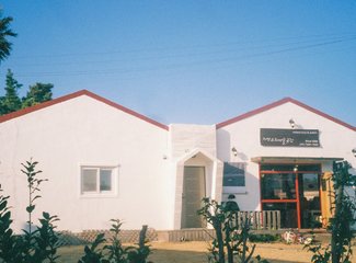 济州岛游记记录,济州岛的春天旅行日记