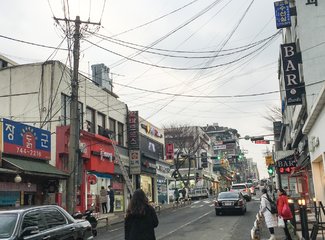 济州岛游记记录,济州岛的春天旅行日记