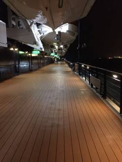 精致邮轮,千禧号游轮