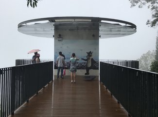 马来西亚马六甲槟城兰卡威11天,马来西亚槟城自由行攻略路线