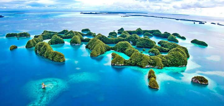 帕劳怎么玩,我来教你怎么玩打野