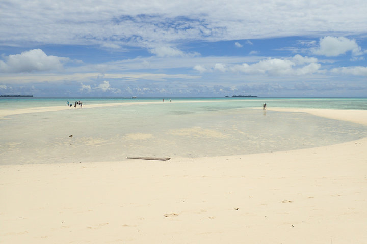 帕劳怎么玩,我来教你怎么玩打野