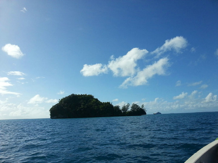 帕劳怎么玩,我来教你怎么玩打野