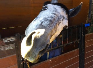 美加自驾游,美加跨境自驾游