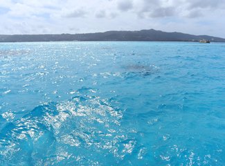 离天堂最近的地方张杰,离天堂最近的地方歌曲