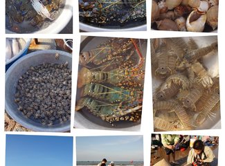 瓒婂崡鐨勯噹蹇冨埌搴曟湁澶氬ぇ,瓒婅瓒婂崡