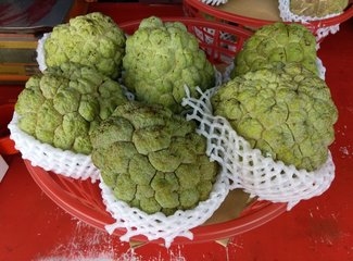 两个理科女子充满逻辑性的国庆台湾游