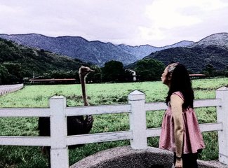 两个理科女子充满逻辑性的国庆台湾游