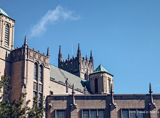 西雅图极光攻略,费尔班克斯极光旅游攻略