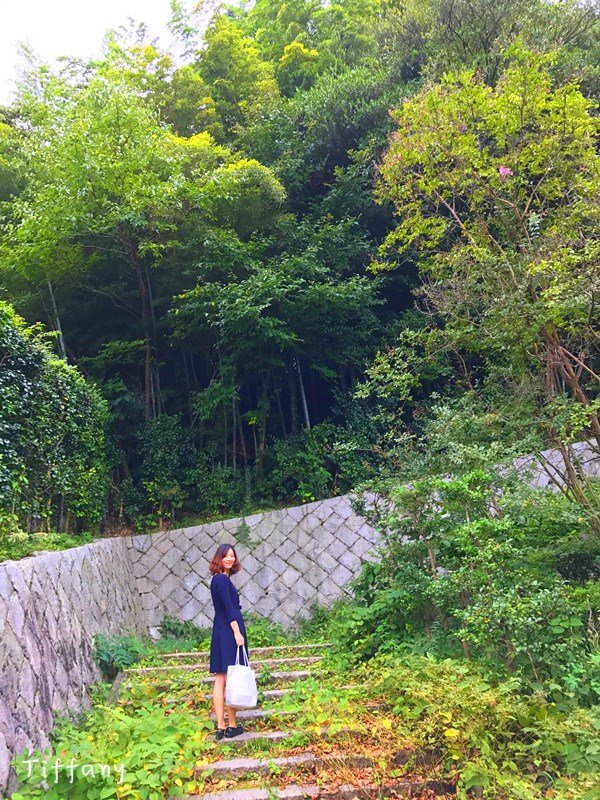 11月京都红叶游记,京都红叶两日游