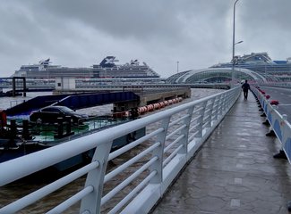 意外的旅程电视剧,意外的旅程原文