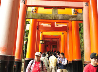 东京京都奈良大阪,东京大阪京都奈良路线