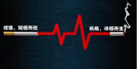 健康周吃啥,健康知识科普周