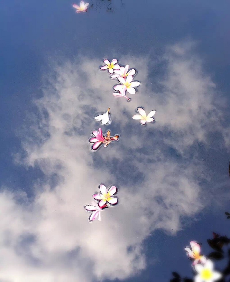 遇见｜云的间隔年：她尝遍了每个异乡限时赠送的糖