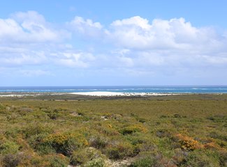 西澳珊瑚海岸3700公里自驾：卡尔巴里-猴子米娅-珊瑚湾-宁加洛珊瑚礁！