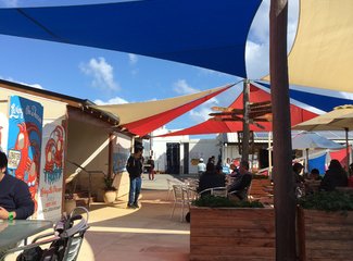 西澳珊瑚海岸3700公里自驾：卡尔巴里-猴子米娅-珊瑚湾-宁加洛珊瑚礁！