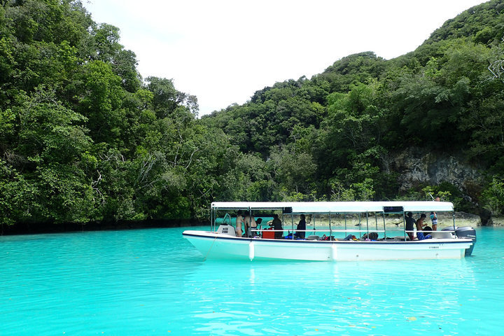 帕劳怎么玩,我来教你怎么玩打野