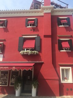 意大利威尼斯，佛罗仑萨浮生若梦