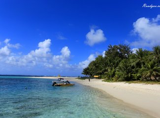 离天堂最近的地方张杰,离天堂最近的地方歌曲