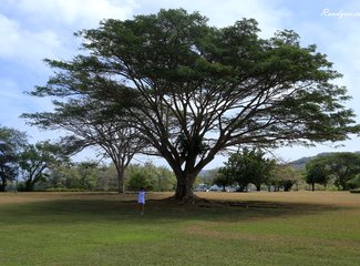 离天堂最近的地方张杰,离天堂最近的地方歌曲